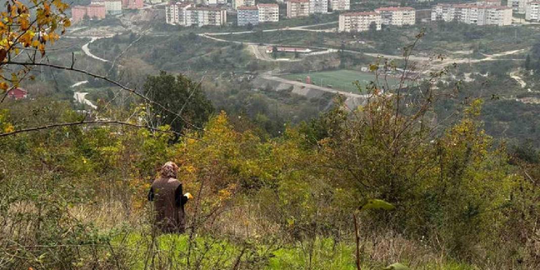 Ormanda yetişiyor, “Doğal vitamin” olarak biliniyor! Sofra yolculuğu başladı: Eldivenle tek tek toplanıyor 1